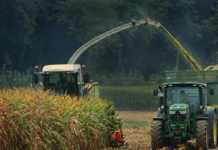 Importantes logros en el agro