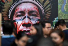 COP 30: el capitalismo contra la vida
