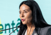 Los feminismos del norte y del sur