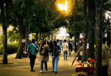 “Queremos transitar a una universidad más democrática”