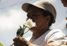 2025, el año de más avances en la Paz Total